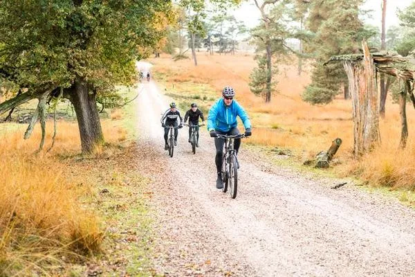 Veluwe meest populaire vakantieregio Veluwe meest populaire vakantieregio