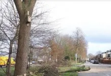 Storm Eunice komt eraan, met deze tips bescherm jij je tuin Storm over Hattem