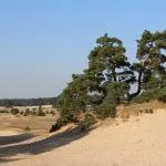 Beheerplan ‘Natura2000 Veluwe’ vastgesteld Beheerplan 'Natura2000 Veluwe' vastgesteld