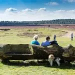 Hoe houden we de Veluwe op nummer 1? Hoe houden we de Veluwe op nummer 1?