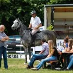 Hippinksterconcours = paardensport én meer… Hippinksterconcours = paardensport én meer...