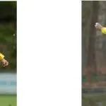 Nieuwe uitdaging voor vv Hattem-spelers Silvan Kersbergen en Felix Noordberger