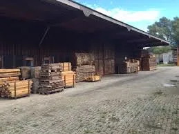 2e New Orleans festival in Hattem ! 2e New Orleans festival in Hattem !