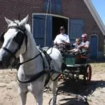 Met paard en wagen naar Zuivelmuseum Erve IJzerman
