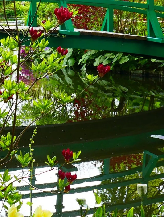 Foto brug monet