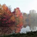 Beleef de herfst in het Engelse Werk