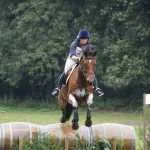 Gelderse en Utrechtse Eventingkampioenschappen tijdens Molecaten Ruiterdag