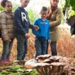 Beleef de ‘Week van het Landschap’