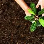 CMH komt weer bij je langs met compost en potgrond