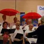 Decibel zingt in binnenstad van Hattem