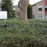 Samen gezellig eten voor 55-plussers in De Bongerd