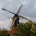 Hattem heeft twee nieuwe molenaars op De Fortuin