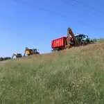 Aandacht voor bloemen en vlinders bij maaien IJsseldijk