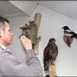 Demonstratie dieren prepareren bij Vrieze’s Erfgoed