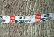 Bestrijding van de jeukrups begint weer