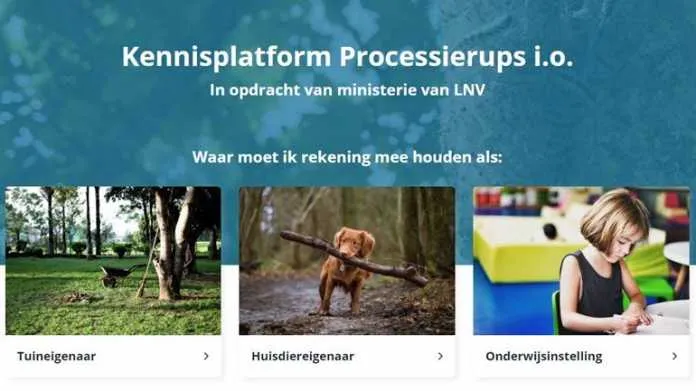 platform prosessierusp