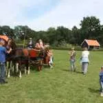 Afgelast | Gratis pannenkoek na koetsenrit in Wapenveld