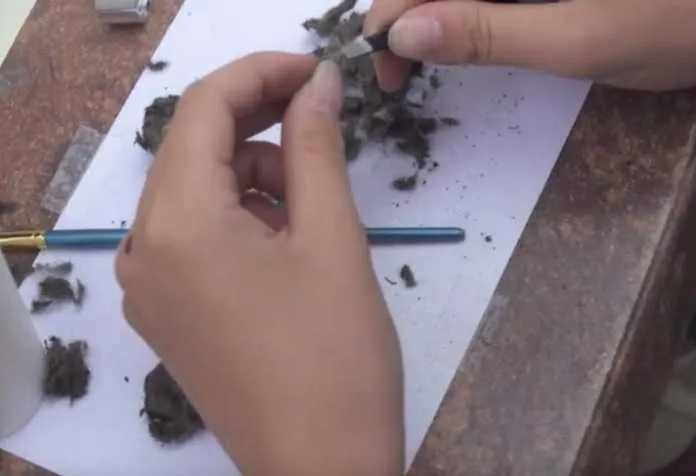 vrieze erfgoed uilenbal pluizen