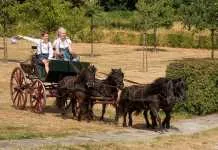 Menvereniging Wapenvelds Gerij in IJsselmagazine