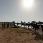 Wandel je mee langs de IJssel?