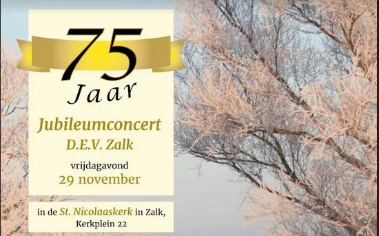 Aankondiging Jubileumconcert DEV