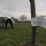 Bewoners Hattem planten bomen en struiken voor een mooier buitengebied