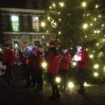 Kerstboom dit keer op Voermanplein
