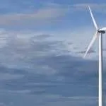 ‘Dit heeft grote gevolgen’, zorgen om beperkingen windmolens Veluwe door roofvogel