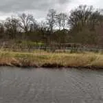 Komt er eindelijk een herten-corridor bij de Hattemse Golfclub?