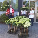 Hortensia-actie voor zorgmedewerkers