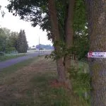 Waarschuwingslinten tegen jeukrups om eiken Roseboomspoor