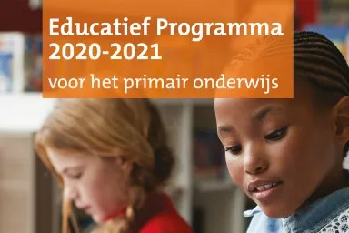 foto-website-primair-onderwijs.jpg.rendition.384.614