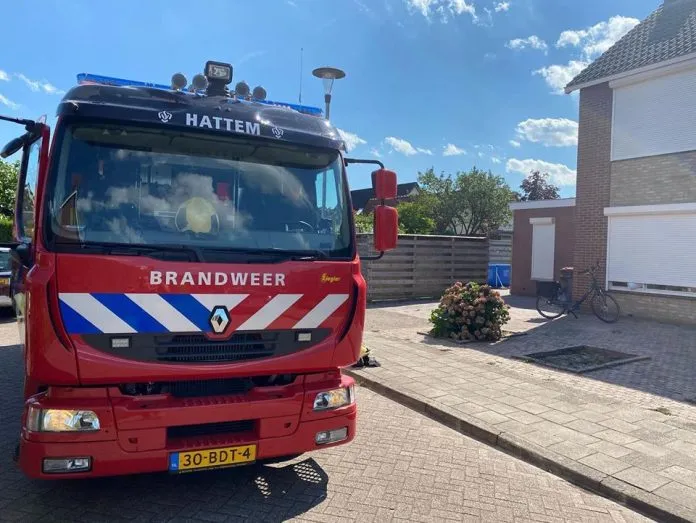 barndweereagen