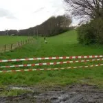 Wijkagent heeft handen vol aan losgebroken schaap in Hattemerbroek