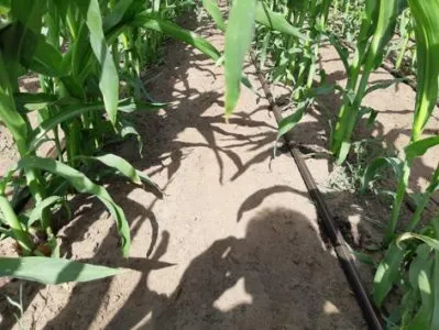 waterbeheer agrariers