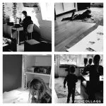 Fotowedstrijd thuisonderwijs