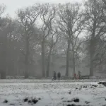 Even is de Veluwe wit