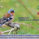 Hobby’s in coronatijd