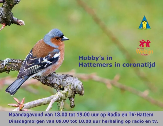 Hobby's in Hattemers in Coronatijd