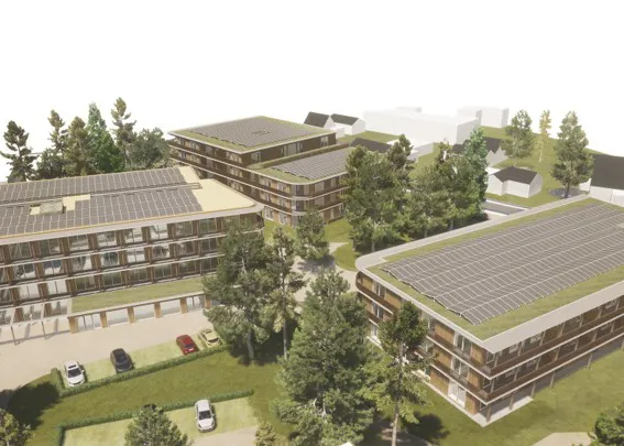 bongerd nieuw3