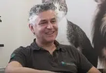 Tips bij het kopen van een pup bij Veluwe Diergezondheidscentrum