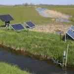 Plasdras-situatie in Hoenwaard trekt weidevogels