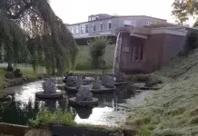 Zwienties in de stadsgracht