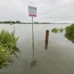 Schellerveertje uit de vaart en Voerman-koeien verplaatst