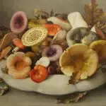 ‘Gevangen in een paradijs’ nieuwe tentoonstelling Voerman Stadsmuseum Hattem