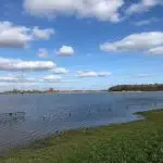 Aanhoudende regen zorgt voor vollopen uiterwaarden
