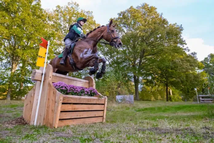 Molecaten-Ruiterdagen-klasse_Z-0174-Renske-1024x683