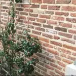 Beeldentuin Voerman Stadsmuseum Hattem geopend