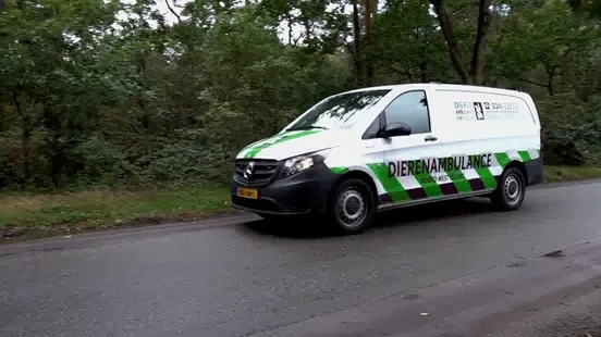dierenambulance