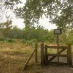 Deel Algemene Veen afgesloten voor begrazing door schapen